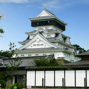 タイトルが入ります